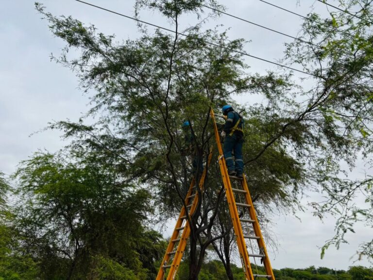Talara y Sechura: conoce las zonas que tendrán corte de luz este sábado 10 de octubre Enosa recomendó a los usuarios de las zonas incluidas en el cronograma tomar las previsiones necesarias durante los horarios de interrupción.