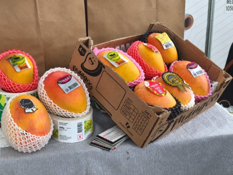 Mango peruano: eficiencia logística ante los riesgos del Fenómeno El Niño La planificación del traslado de productos, el almacenamiento y la preparación de contenedores son aspectos que las empresas deben considerar para afrontar eventuales interrupciones.