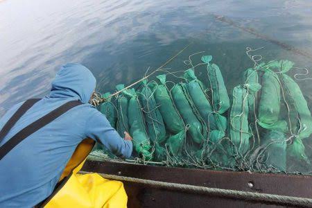 Sechura en alerta: dos frentes que ponen en riesgo el mar y la vida de miles de familias